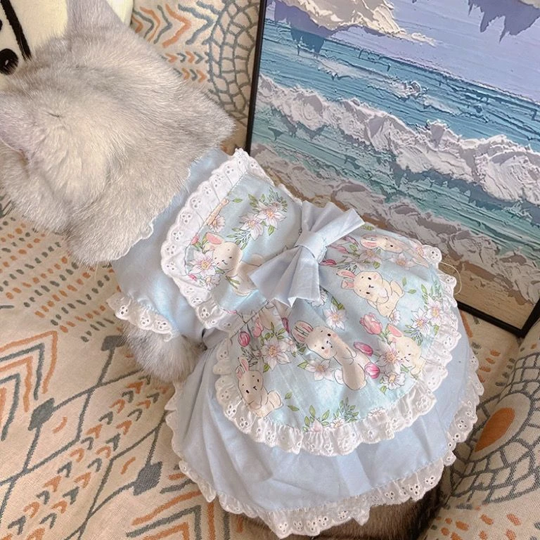الحيوانات الأليفة لطيف المئزر  - مراجعة Lace Teddy Lingerie وسعره